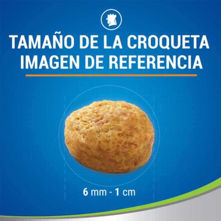 Purina Dentalife Daily Oral Care sabor pollo