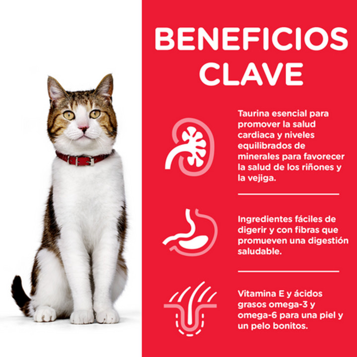 Hill's Science Plan Feline Mature Adult 7+ Active Longevity con Pollo