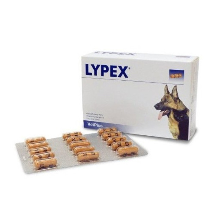 Lypex, cuidado salud para perros, suplemento digestivo - Kompymascotas