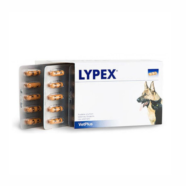 Lypex, cuidado salud para perros, suplemento digestivo - Kompymascotas