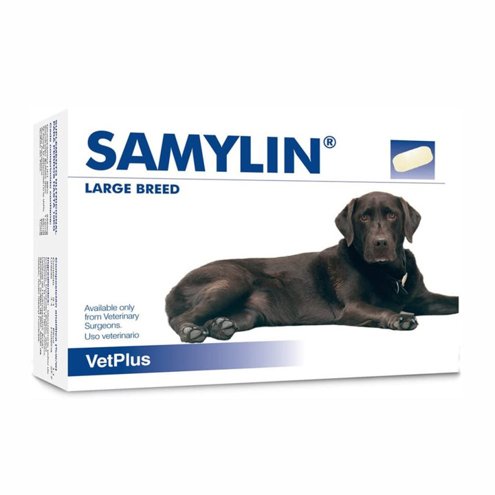Samylin comprimidos, complemento nutricional terapéutico - Kompymascotas