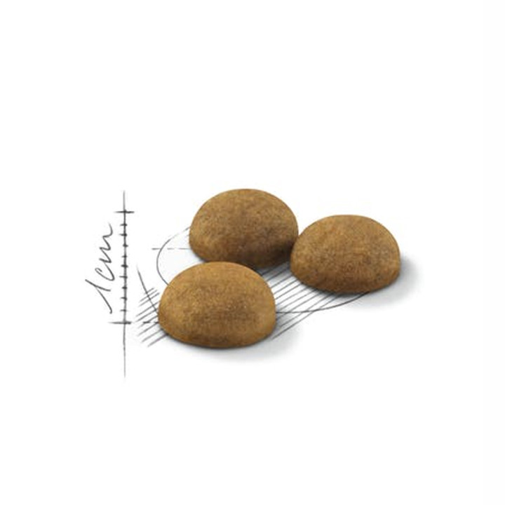 Royal Canin Indoor Long Hair 35 - Kompymascotas