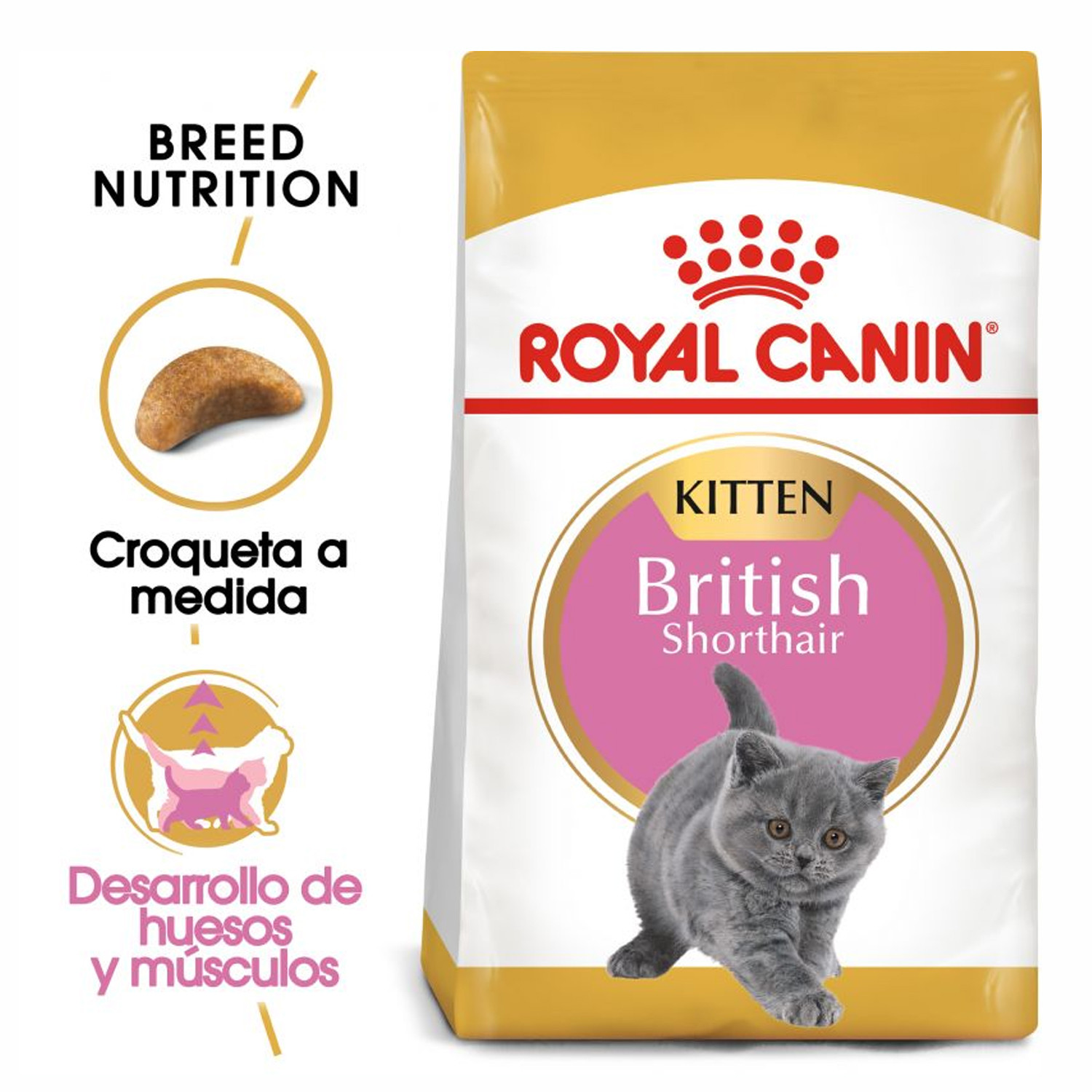 Royal canin gatitos de raza