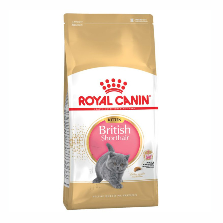 Royal Canin Kitten British Shorthair - Kompymascotas