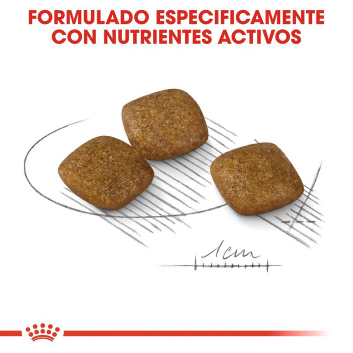 Royal Canin Mini relax Care - Kompymascotas