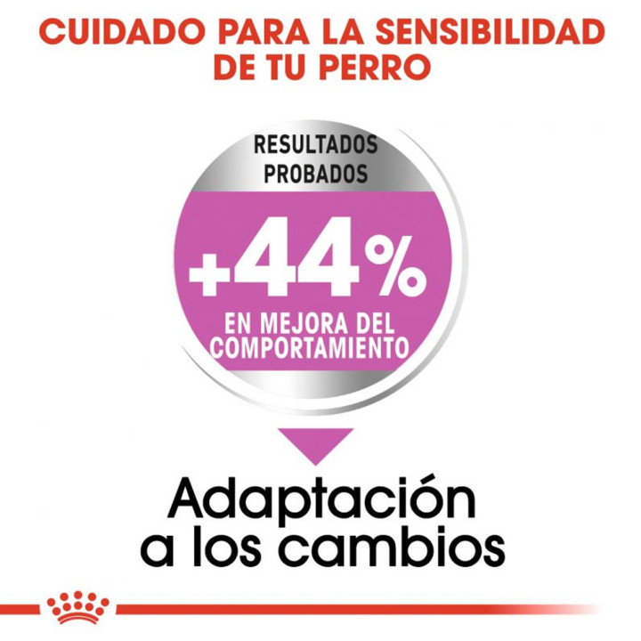 Royal Canin Mini relax Care - Kompymascotas