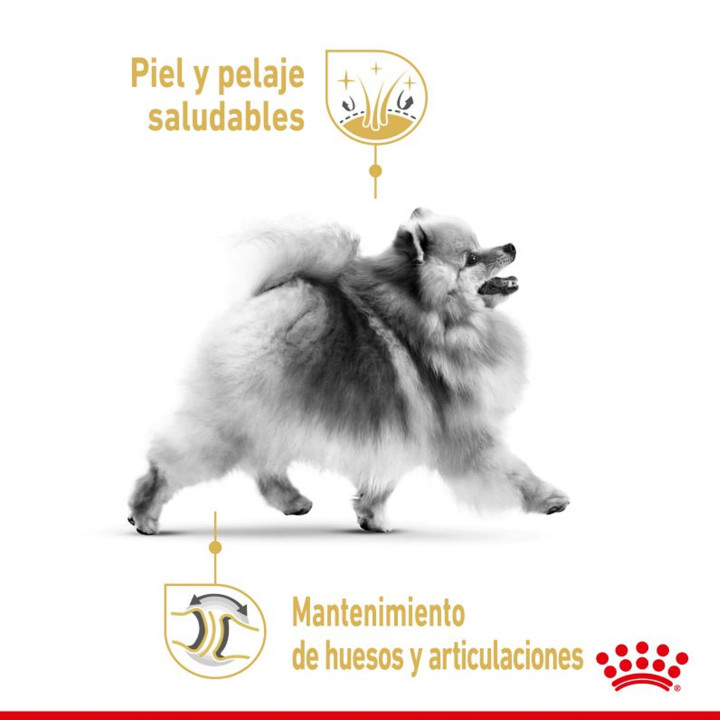 Royal Canin Pomeranian Adult - Kompymascotas