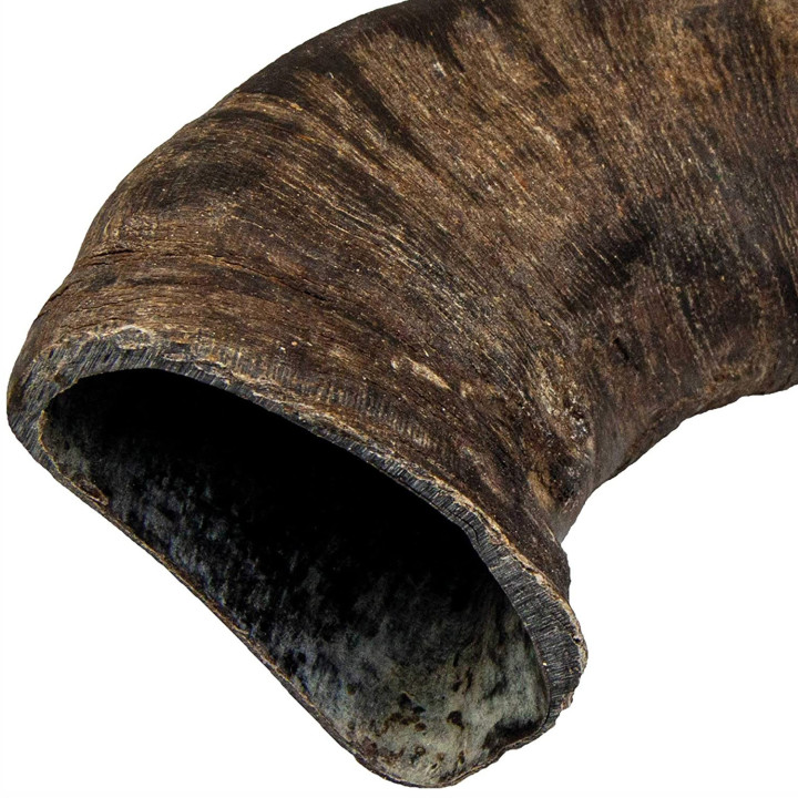 Asta de búfalo masticable