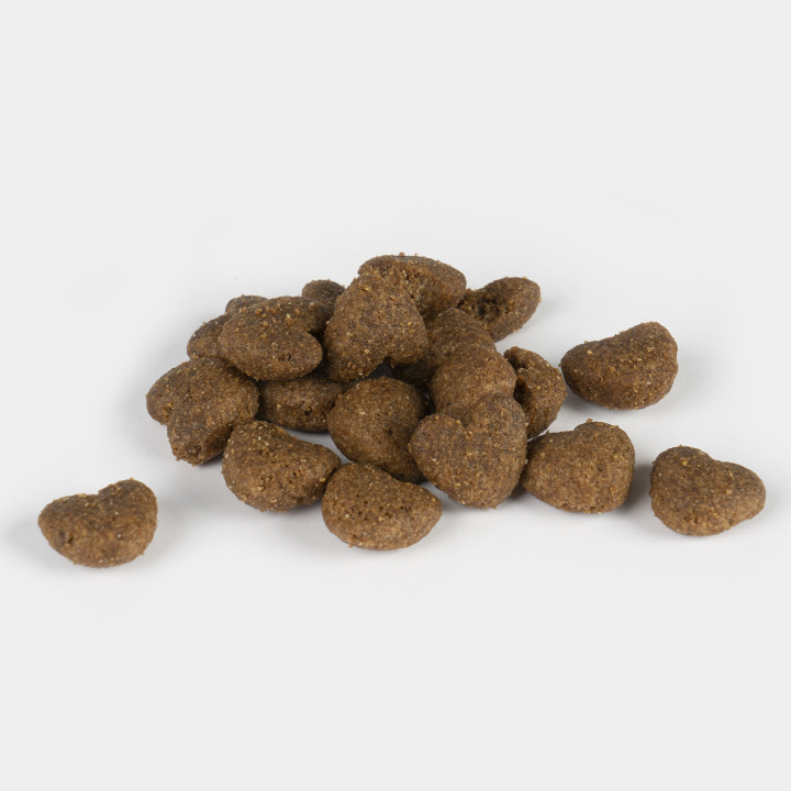 Dingo Fish & Daily, Pienso para perros - Kompymascotas