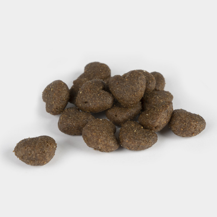 Dingo Adult & Daily Pienso para perros - Kompymascotas