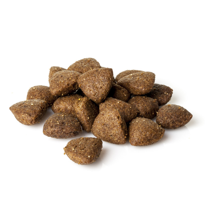 Natura Diet Fish & Rice Pienso para perros - Kompymascotas