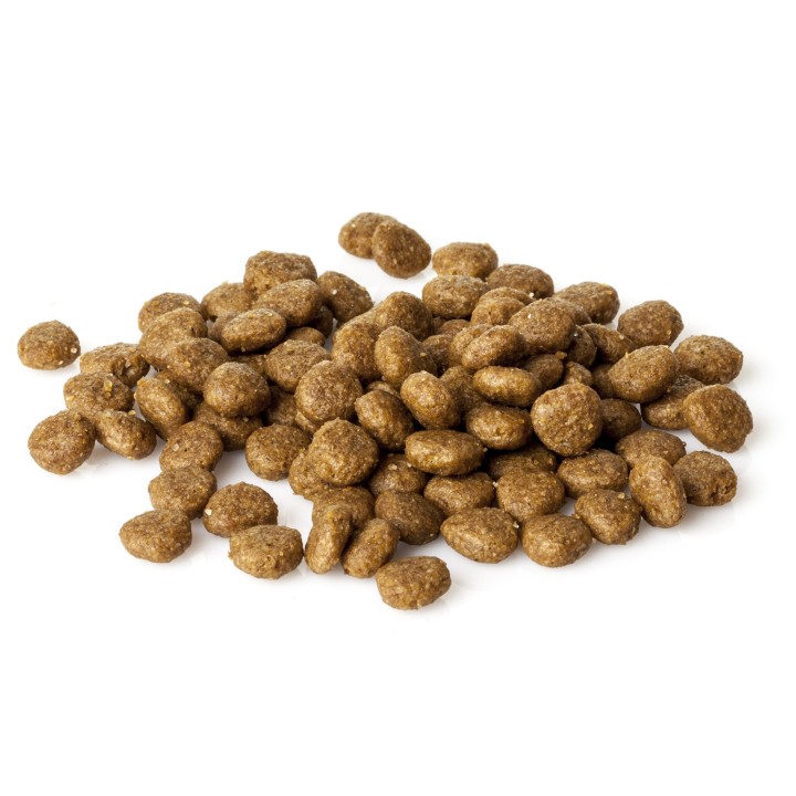 Natura Diet Daily Puppy Starter Pienso para cachorros - Kompymascotas