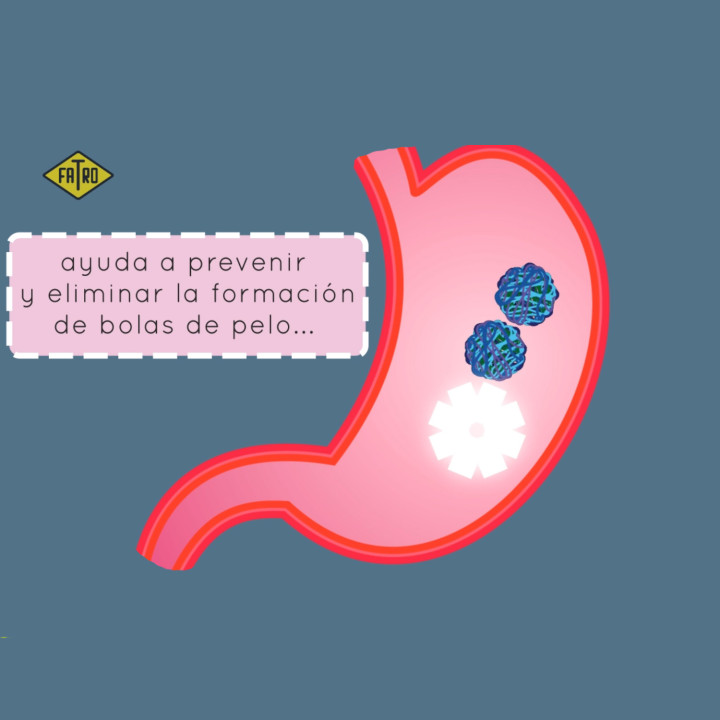 Akiball, Salud para gatos - Kompymascotas