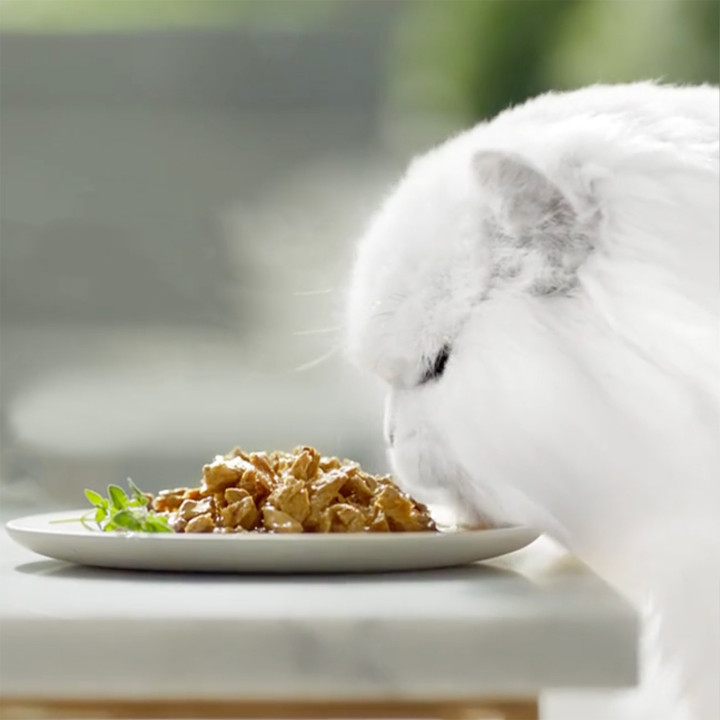 Purina Gourmet Perle Delicias en Salsa con Pollo y Buey