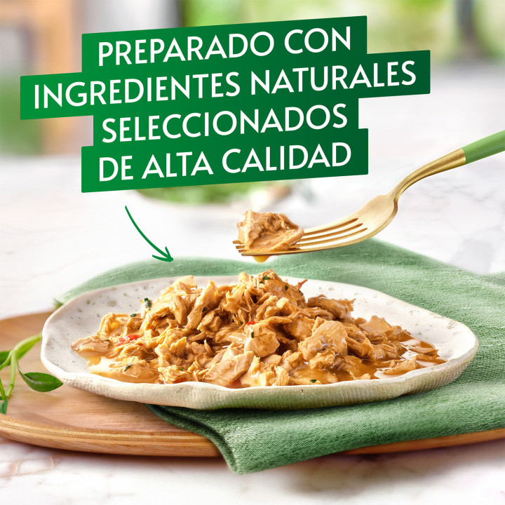 Purina Gourmet Natures Creations con Buey