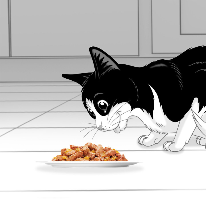Purina Félix Fantastic Duo Delicious con Pescado