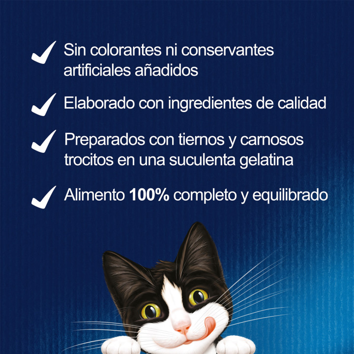 Purina Félix Fantastic Duo Delicious con Pescado