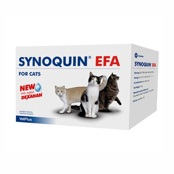 Synoquin Efa Gato, Salud para gatos - Kompymascotas