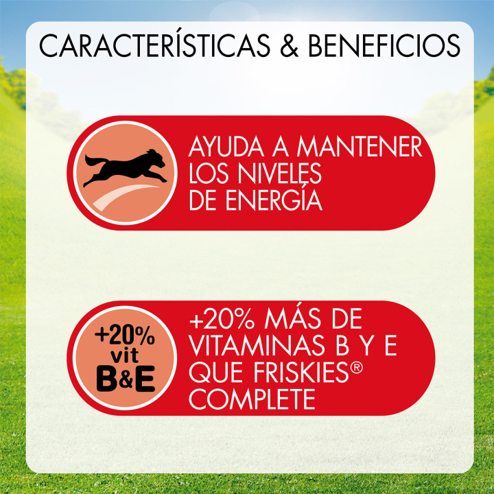 Purina Friskies Active con buey - Kompymascotas