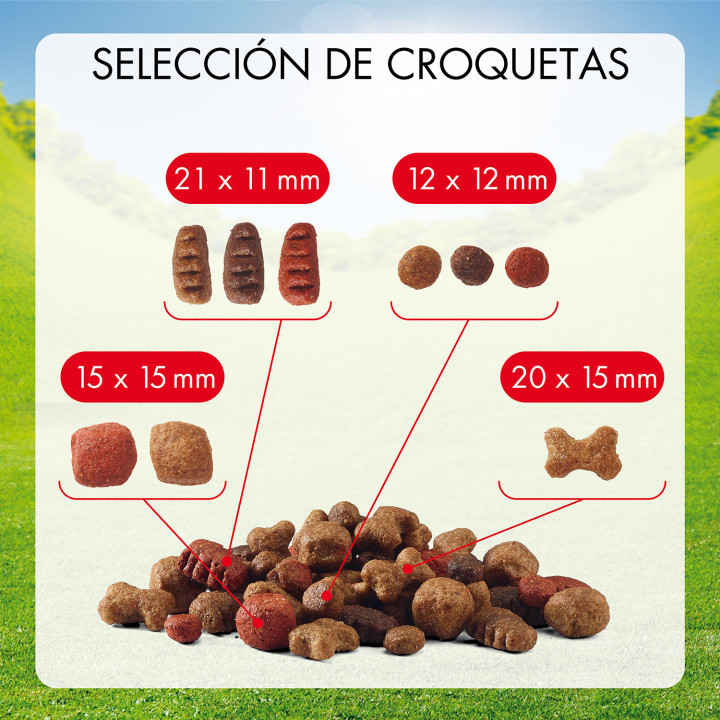 Purina Friskies Active con buey - Kompymascotas