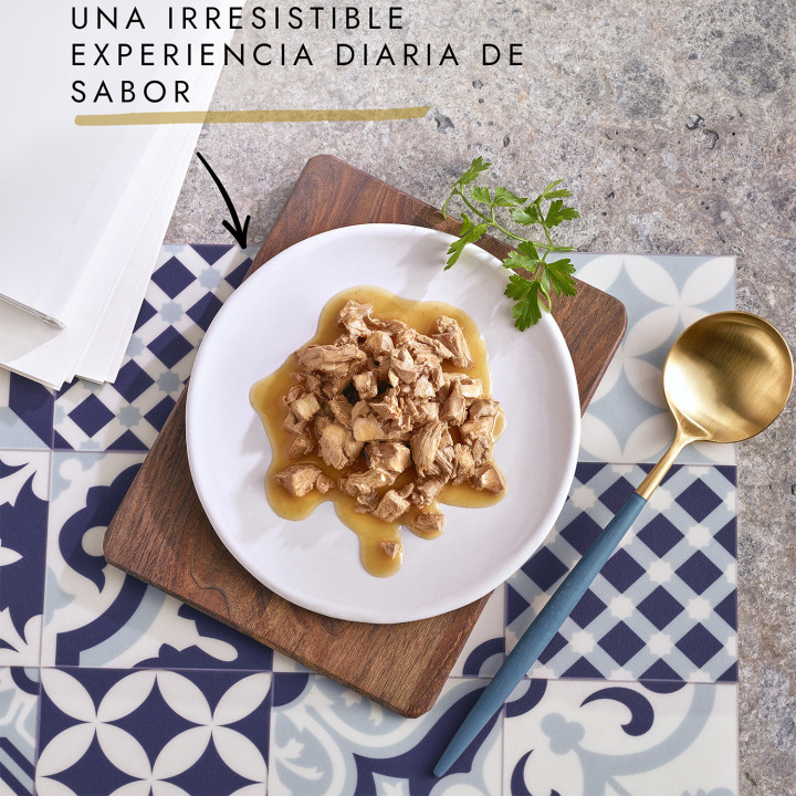 Comida húmeda para gatos Purina Gourmet con pescado del océano, con lenguado, salmón y atún - Kompymascotas