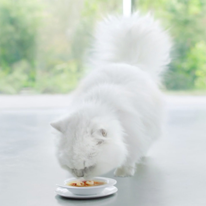 Sopa PURINA GOURMET Crystal, alimento húmedo para gato - Kompymascotas
