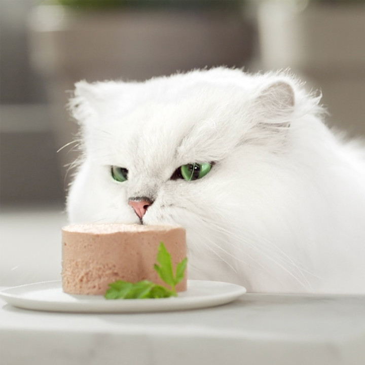 Purina Gourmet Gold Mousse, comida húmeda para gatos - Kompymascotas
