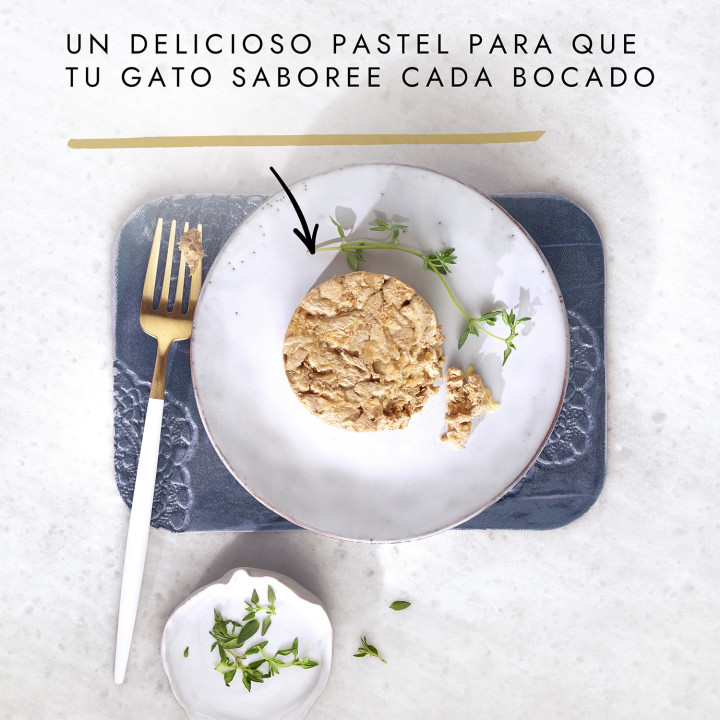 Comida húmeda Purina Gourmet Gold Tartelette - Kompymascotas