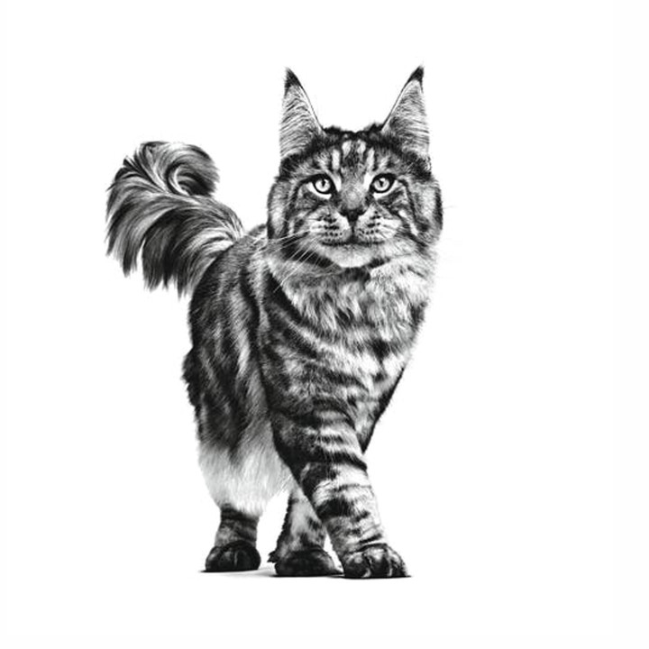 Royal Canin Veterinary Sensitivity Control - Kompymascotas