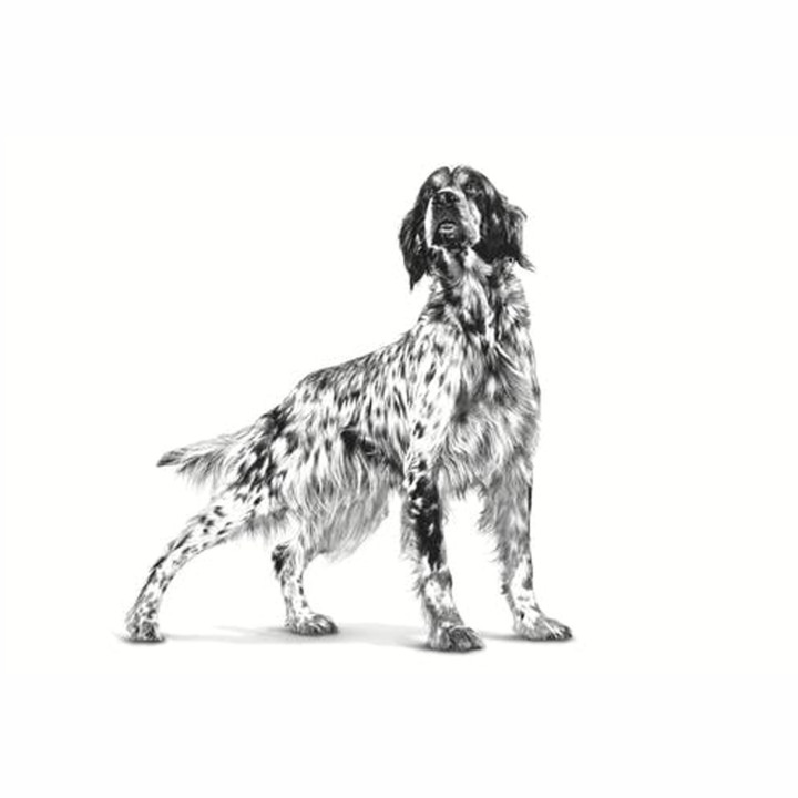 Latas para perros Royal Canin Sensitivity Control (con pollo) - Kompymascotas