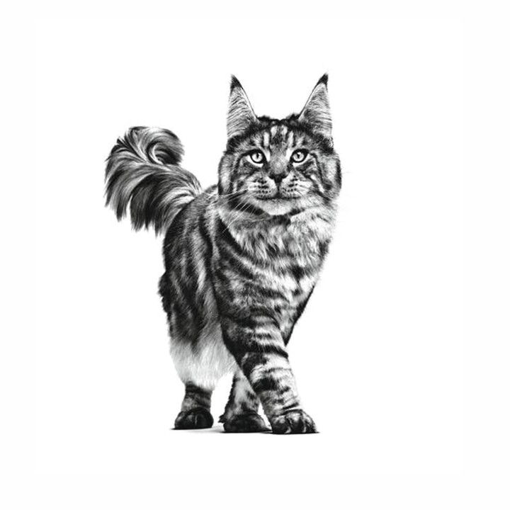 Comida húmeda Royal Canin Sensitivity Control para perro - Kompymascotas