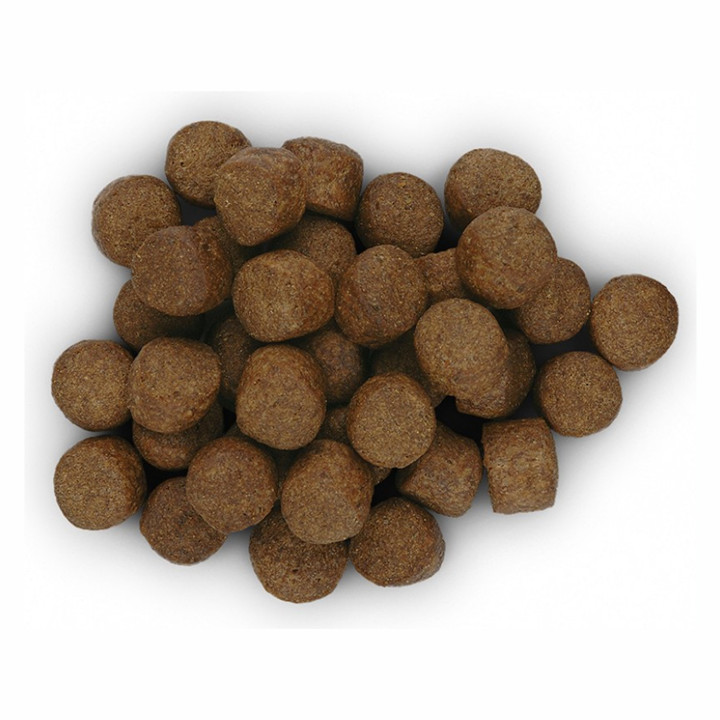 Hill's Prescription Diet Canine z/d Pienso para perros - Kompymascotas