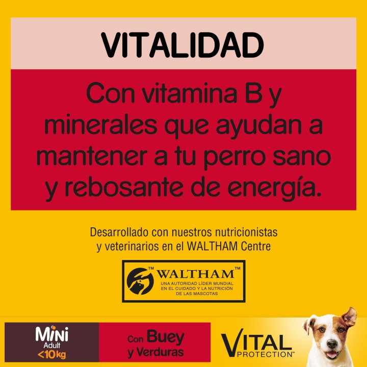 Pedigree Seco Mini Adult Buey y Verduras