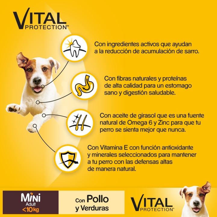 Pedigree Mini Adult Pollo y Verduras