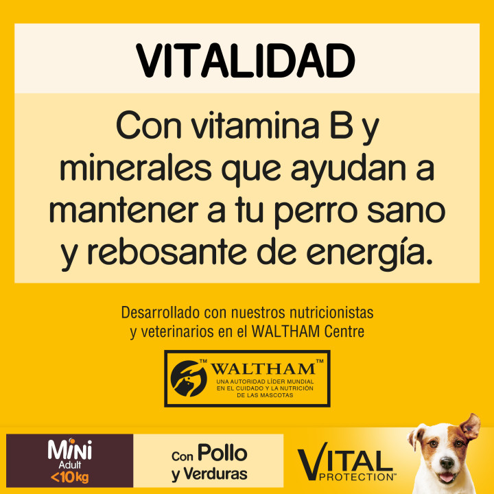 Pedigree Mini Adult Pollo y Verduras