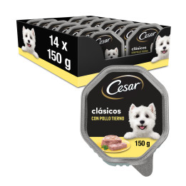 Tarrina Cesar Clásicos con pollo, Comida húmeda para perros - Kompymascotas