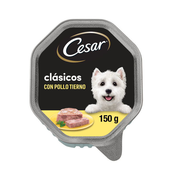 Tarrina Cesar Clásicos con pollo, Comida húmeda para perros - Kompymascotas