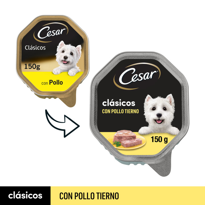 Tarrina Cesar Clásicos con pollo, Comida húmeda para perros - Kompymascotas