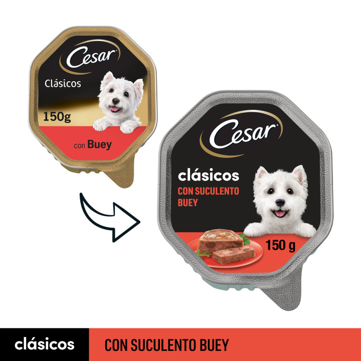 César Clásicos con Buey