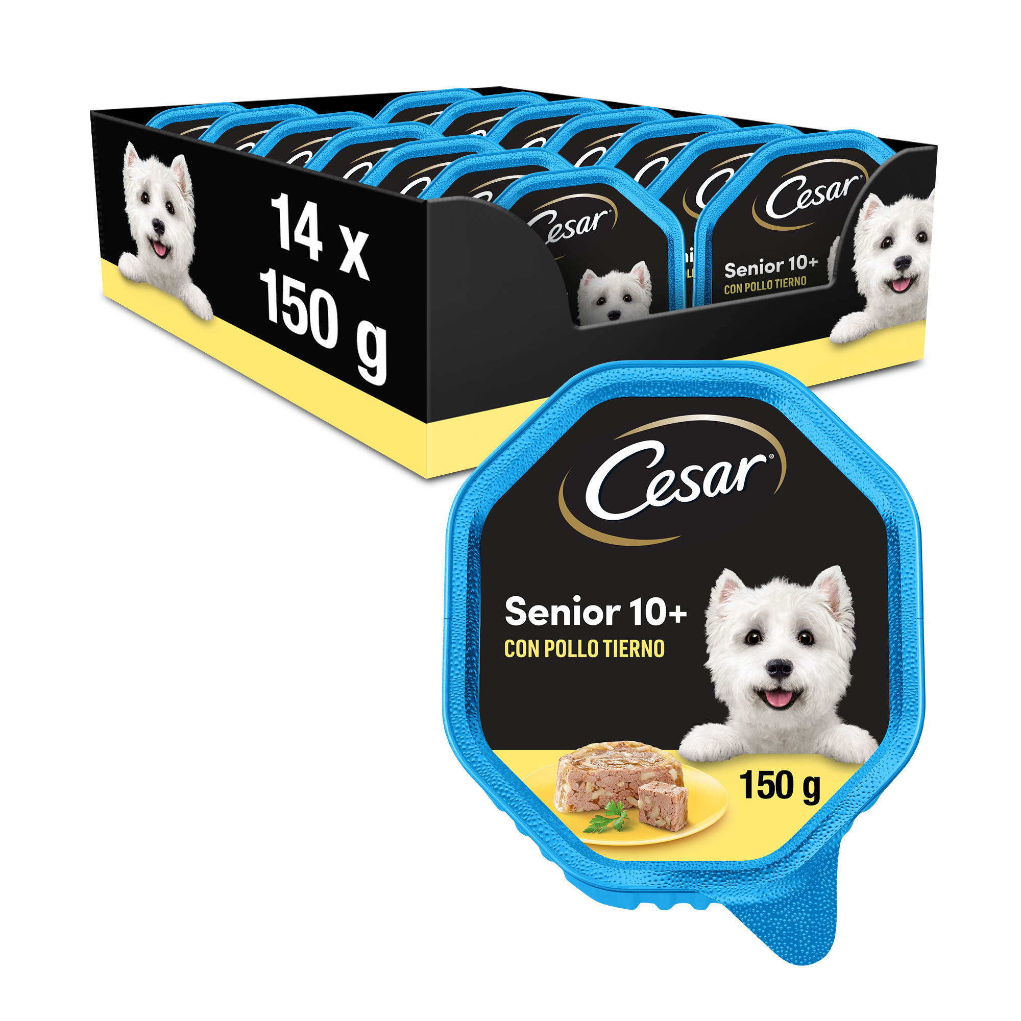 Cesar