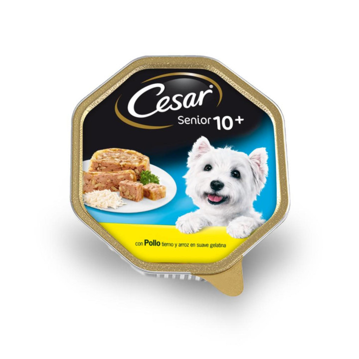 César Senior 