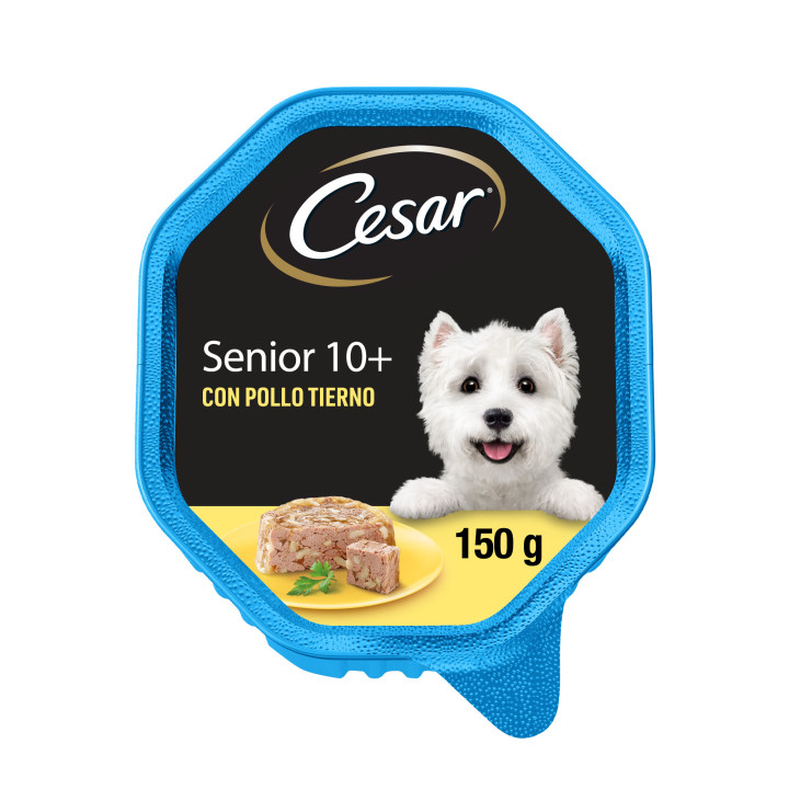 César Senior 
