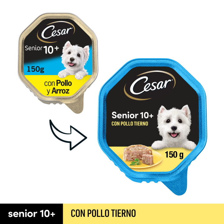 César Senior 