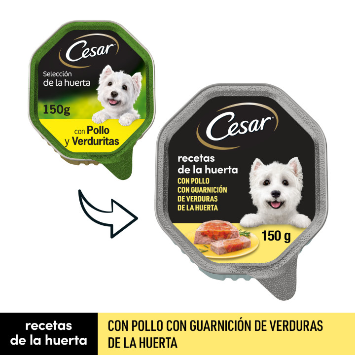César Receta de la Huerta