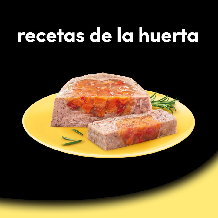 César Receta de la Huerta