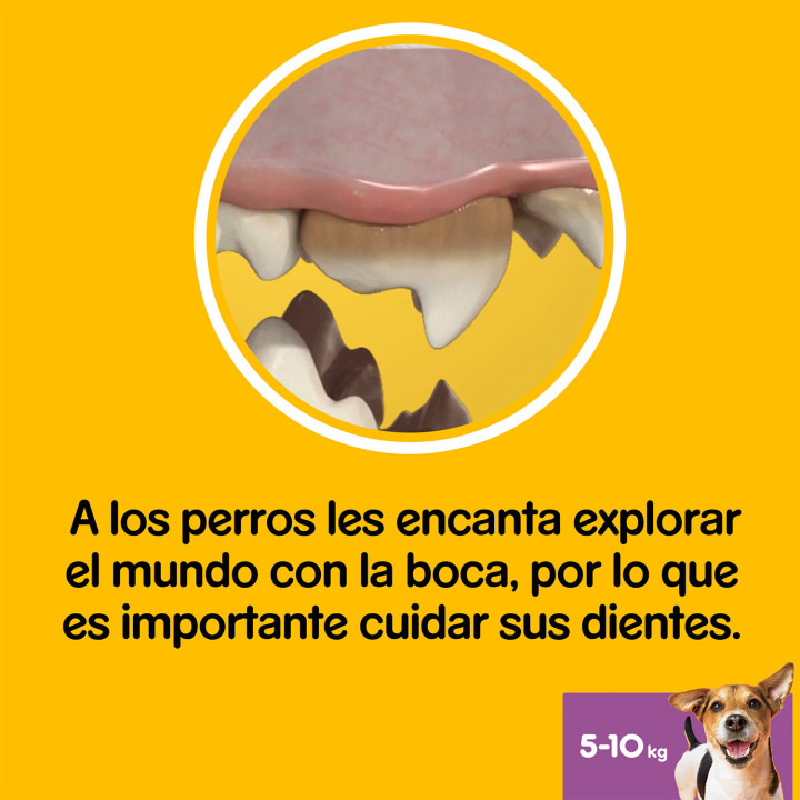 Higiene oral Dentastix para perros pequeños - Kompymascotas