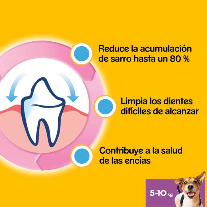 Higiene oral Dentastix para perros pequeños - Kompymascotas