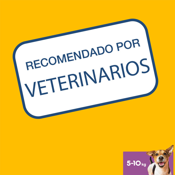 Higiene oral Dentastix para perros pequeños - Kompymascotas