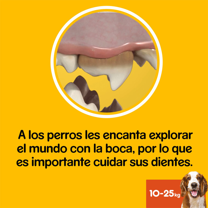 Higiene oral Dentastix para perros medianos - Kompymascotas