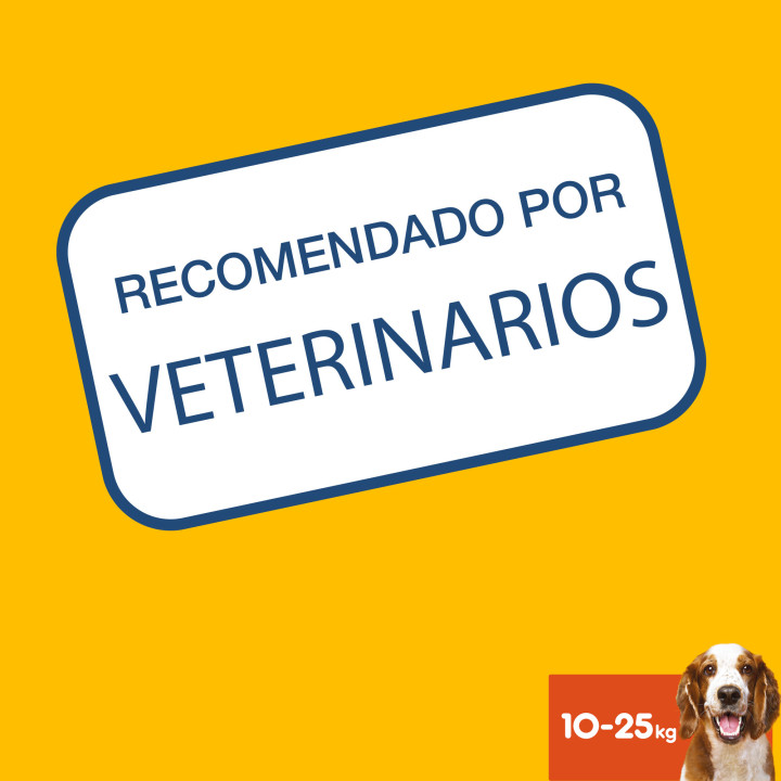 Higiene oral Dentastix para perros medianos - Kompymascotas